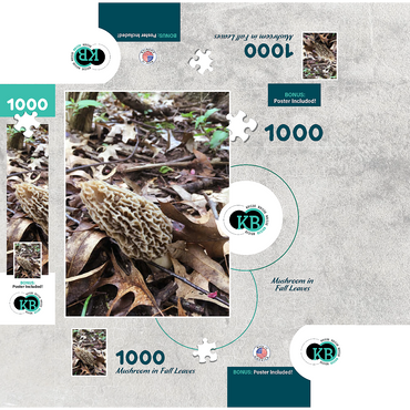 Mushroom in Fall Leaves 1000 Jigsaw Puzzle box 3D Modell