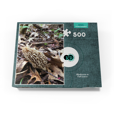 Mushroom in Fall Leaves 500 Jigsaw Puzzle box view3