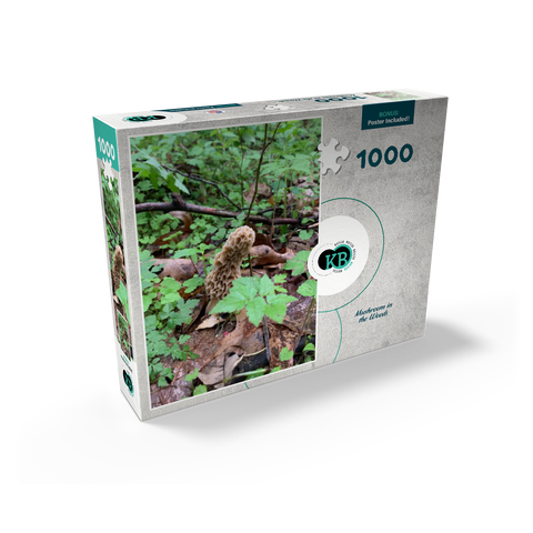 Mushroom in the Woods 1000 Jigsaw Puzzle box view2