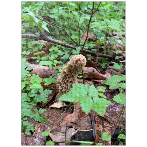 puzzleplate Mushroom in the Woods 1000 Jigsaw Puzzle