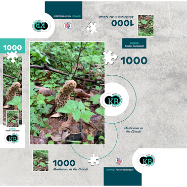 Mushroom in the Woods 1000 Jigsaw Puzzle box 3D Modell