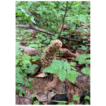 puzzleplate Mushroom in the Woods 500 Jigsaw Puzzle