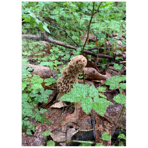 puzzleplate Mushroom in the Woods 500 Jigsaw Puzzle