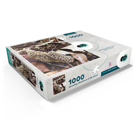 Mushrooms Sprouting in the Woods 1000 Jigsaw Puzzle box view1