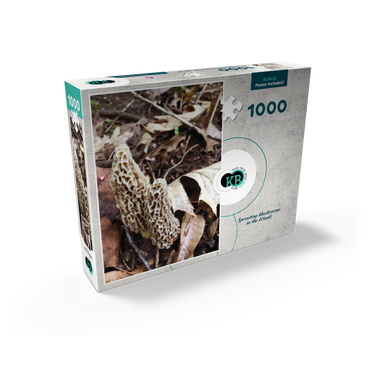 Mushrooms Sprouting in the Woods 1000 Jigsaw Puzzle box view2