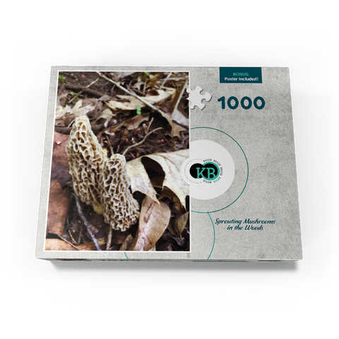 Mushrooms Sprouting in the Woods 1000 Jigsaw Puzzle box view3