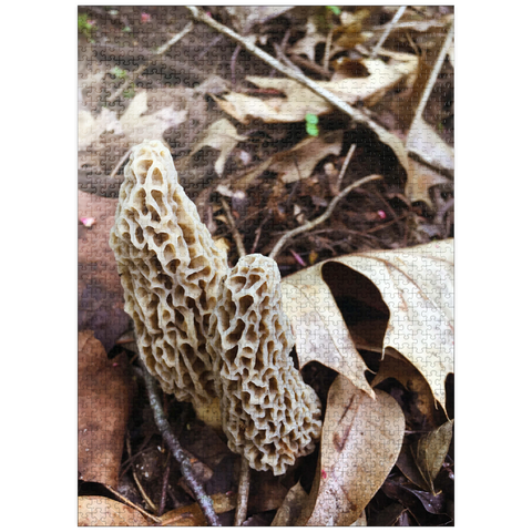 puzzleplate Mushrooms Sprouting in the Woods 1000 Jigsaw Puzzle