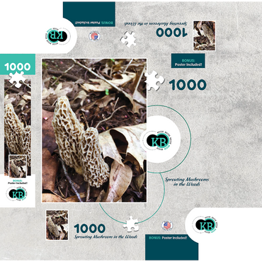 Mushrooms Sprouting in the Woods 1000 Jigsaw Puzzle box 3D Modell