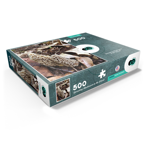 Mushrooms Sprouting in the Woods 500 Jigsaw Puzzle box view1