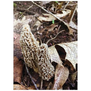puzzleplate Mushrooms Sprouting in the Woods 500 Jigsaw Puzzle