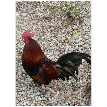 puzzleplate Colorful Rooster in Gravel Rocks 1000 Jigsaw Puzzle