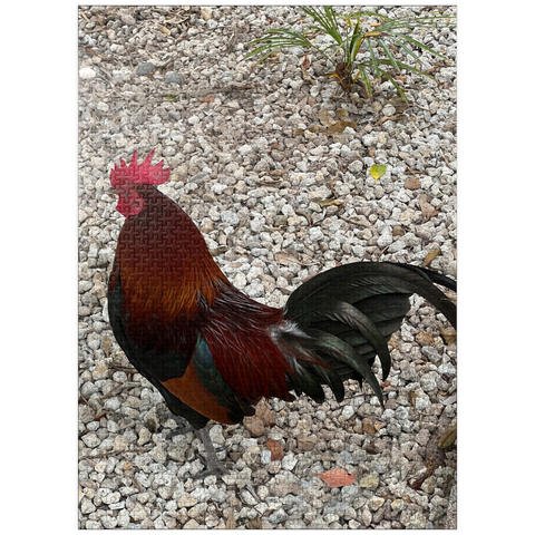 puzzleplate Colorful Rooster in Gravel Rocks 1000 Jigsaw Puzzle