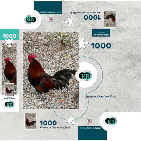 Colorful Rooster in Gravel Rocks 1000 Jigsaw Puzzle box 3D Modell