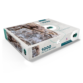 1000