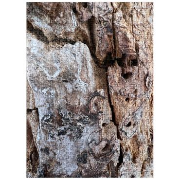puzzleplate Tree Trunk Bark Texture 500 Jigsaw Puzzle