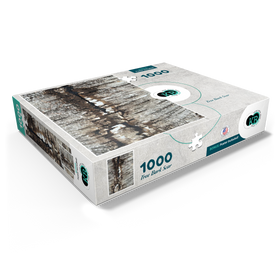 1000