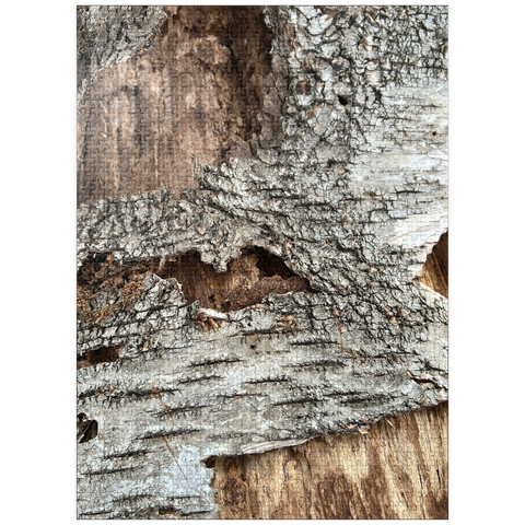 puzzleplate Tree Bark Funny Face 1000 Jigsaw Puzzle