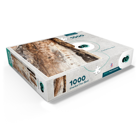 1000
