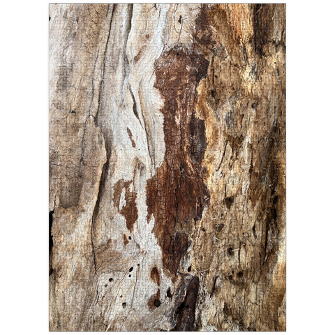 puzzleplate Colorful Tree Bark 1000 Jigsaw Puzzle