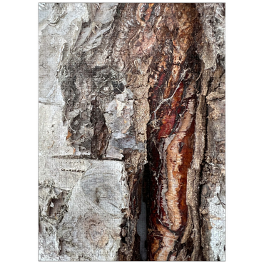 puzzleplate Colorful Tree Bark Scars 1000 Jigsaw Puzzle