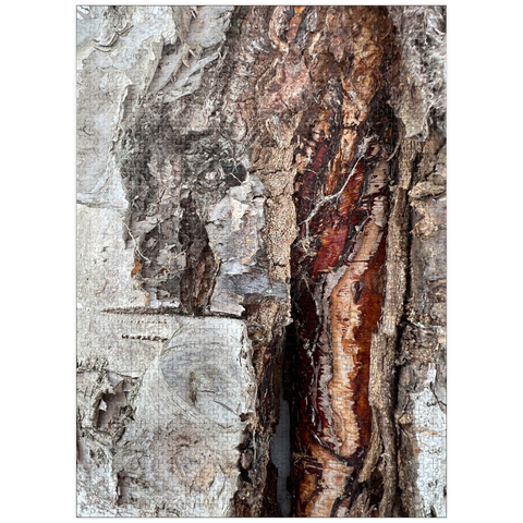 puzzleplate Colorful Tree Bark Scars 1000 Jigsaw Puzzle