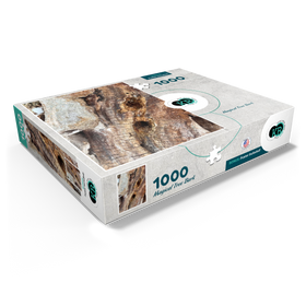 1000
