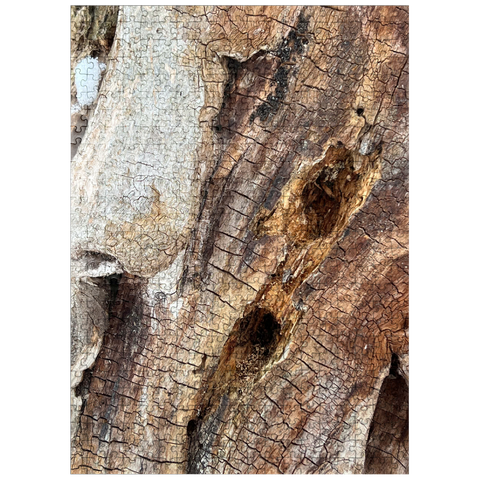 puzzleplate Magical Tree Bark 500 Jigsaw Puzzle