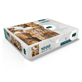 1000