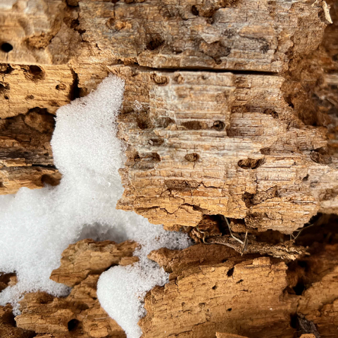 Snowy Tree Bark 500 Jigsaw Puzzle 3D Modell