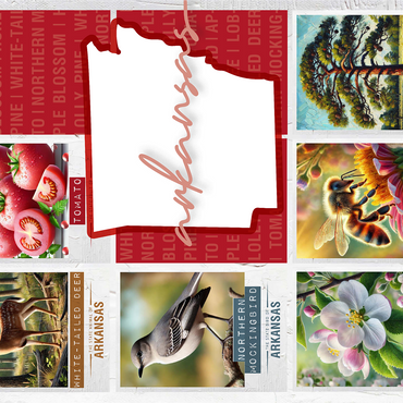 Arkansas: State Symbols Poster 1000 Jigsaw Puzzle 3D Modell