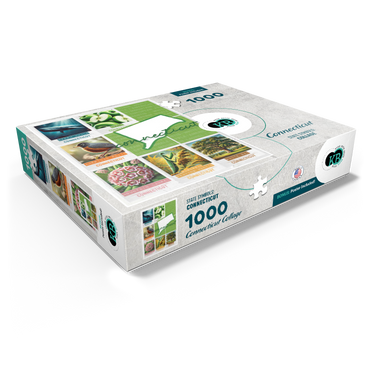 Connecticut: State Symbols Poster 1000 Jigsaw Puzzle box view1