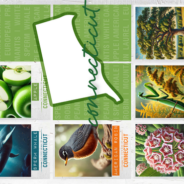 Connecticut: State Symbols Poster 1000 Jigsaw Puzzle 3D Modell