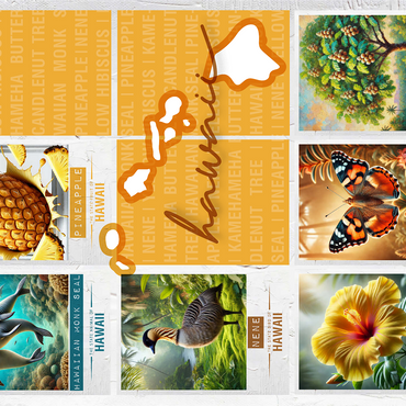 Hawaii: State Symbols Poster 1000 Jigsaw Puzzle 3D Modell