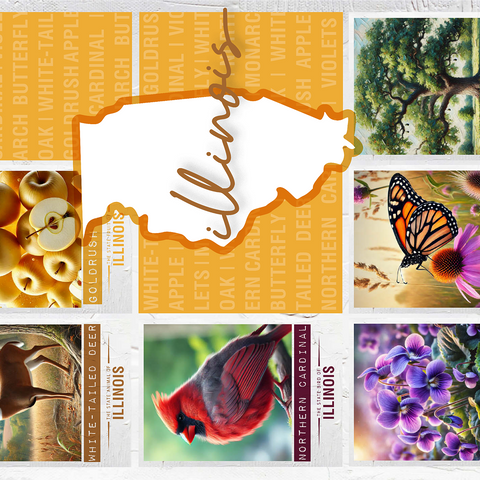 Illinois: State Symbols Poster 1000 Jigsaw Puzzle 3D Modell