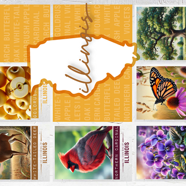 Illinois: State Symbols Poster 500 Jigsaw Puzzle 3D Modell