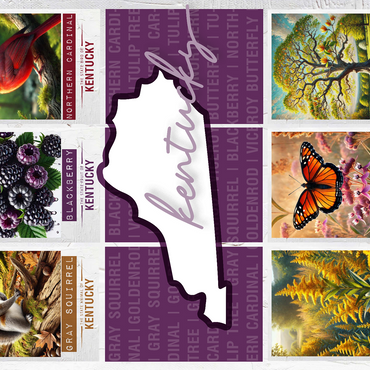 Kentucky: State Symbols Poster 500 Jigsaw Puzzle 3D Modell