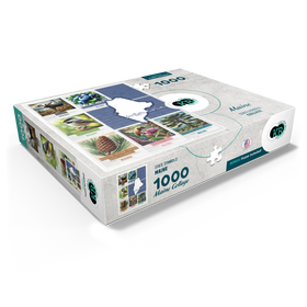 1000