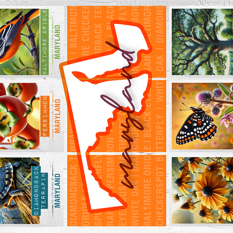 Maryland: State Symbols Poster 1000 Jigsaw Puzzle 3D Modell