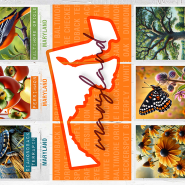 Maryland: State Symbols Poster 500 Jigsaw Puzzle 3D Modell