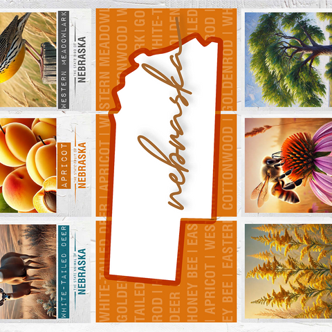 Nebraska: State Symbols Poster 1000 Jigsaw Puzzle 3D Modell