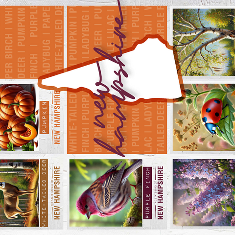 New Hampshire: State Symbols Poster 500 Jigsaw Puzzle 3D Modell