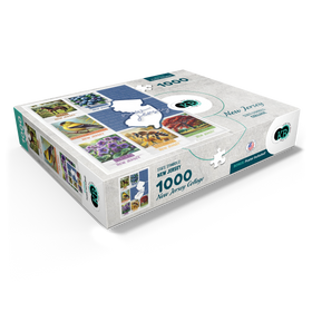 1000