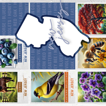 New Jersey: State Symbols Poster 500 Jigsaw Puzzle 3D Modell