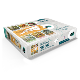 1000