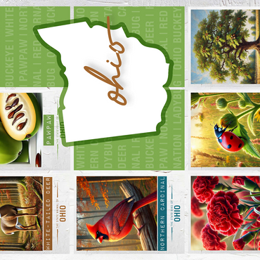 Ohio: State Symbols Poster 500 Jigsaw Puzzle 3D Modell