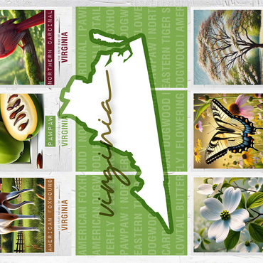 Virginia: State Symbols Poster 1000 Jigsaw Puzzle 3D Modell
