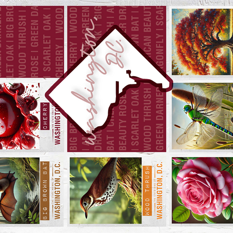 Washington, D.C.: State Symbols Poster 1000 Jigsaw Puzzle 3D Modell