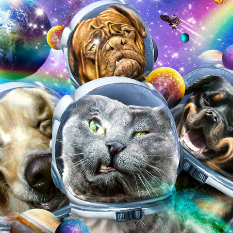 Astronaut Pet Selfie, Space Cat - Random Galaxy 1000 Jigsaw Puzzle 3D Modell