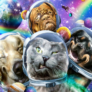 Astronaut Pet Selfie, Space Cat - Random Galaxy 100 Jigsaw Puzzle 3D Modell