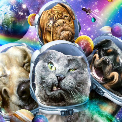 Astronaut Pet Selfie, Space Cat - Random Galaxy 100 Jigsaw Puzzle 3D Modell